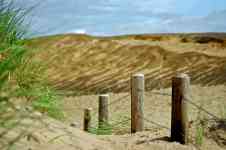 Redmond: Sand, Dunes, pathway