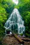 Redmond: waterfall, forest, Creek