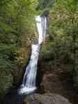 Redmond: waterfall, trees, lock screen wallpaper