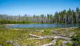 Redmond: forest, oregon, lake