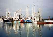 Redmond: Port, bay, fishing boats