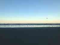 Redmond: beach, peaceful, Seagulls