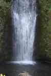 Redmond: nature, waterfall, oregon